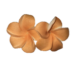 Hawaiian Colorful Flower Earrings