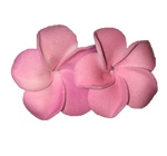 Hawaiian Colorful Flower Earrings