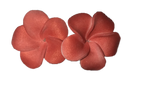 Hawaiian Colorful Flower Earrings