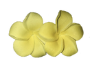 Hawaiian Colorful Flower Earrings