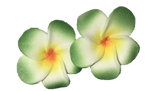 Hawaiian Colorful Flower Earrings