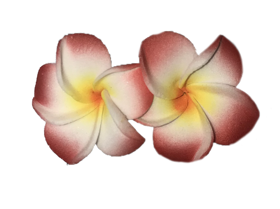Hawaiian Colorful Flower Earrings
