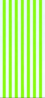 Beach Towels - BLANK