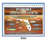 Sea Life Guide Cards & Book