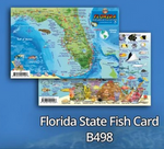 Sea Life Guide Cards & Book