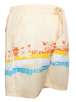 Mens Swim Trunks