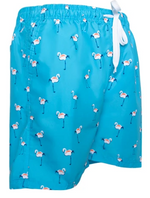 Mens Swim Trunks