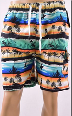 Mens Swim Trunks