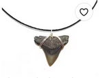 Beach Bum Supply Company Shark Tooth Jewelry
