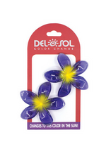 Del Sol Accessories