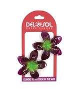 Del Sol Accessories