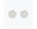 Periwinkle Earrings