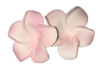 Hawaiian Colorful Flower Earrings