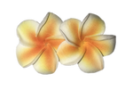 Hawaiian Colorful Flower Earrings