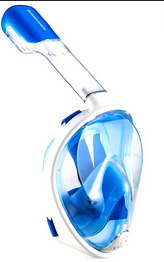 Snorkel Mask