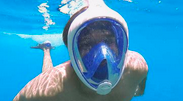 Snorkel Mask
