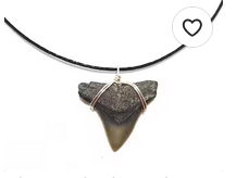 Beach Bum Supply Company Shark Tooth Jewelry